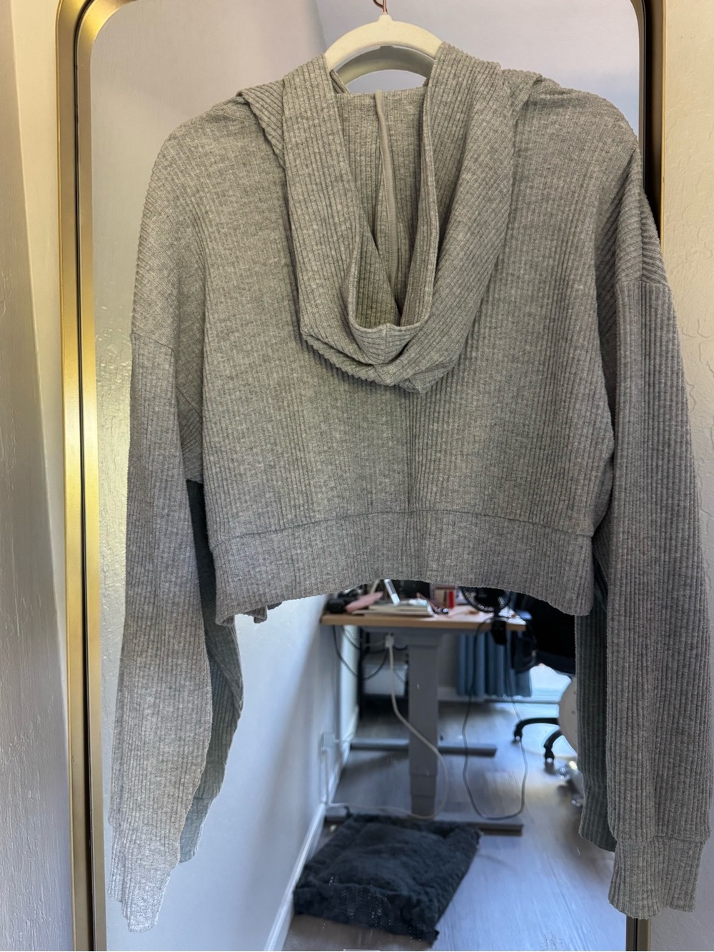 ALO Yoga Ribbed Cropped Hoodie in Light Gray - Picture 2 of 3